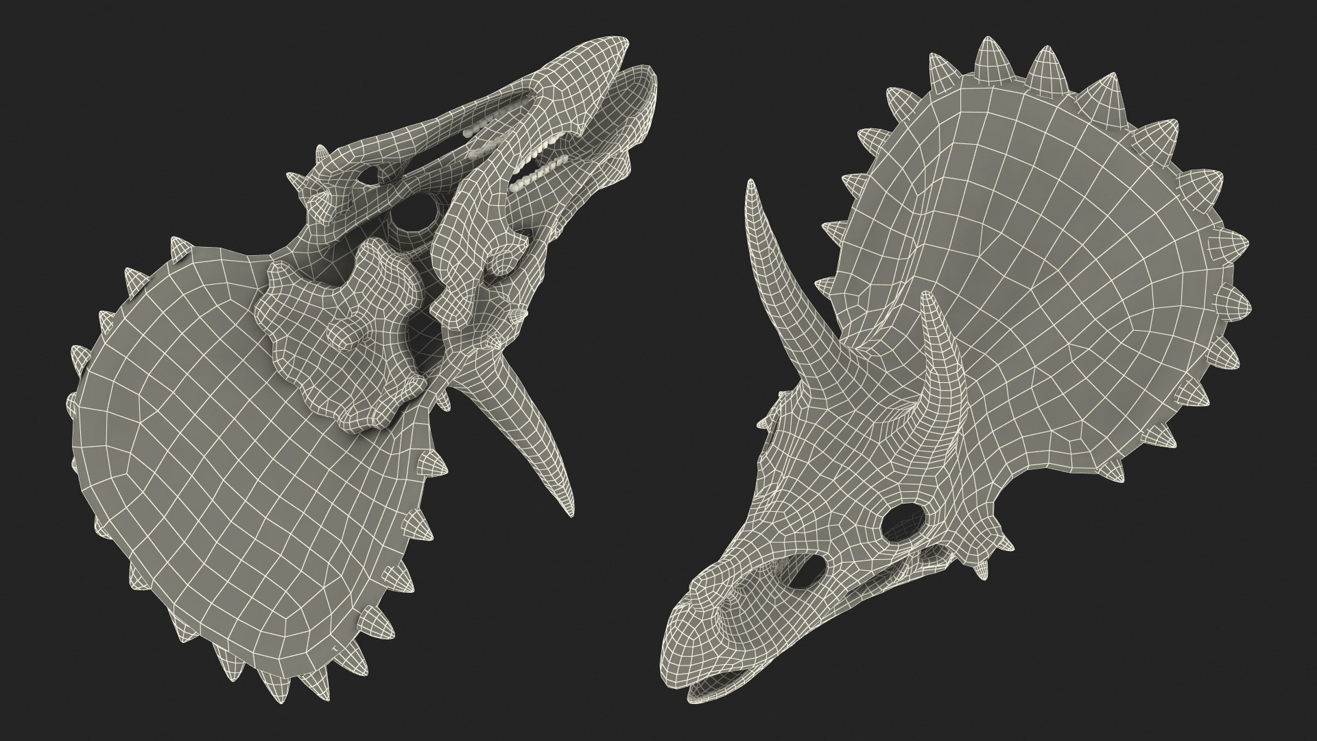 triceratops skull animal 3D model https://p.turbosquid.com/ts-thumb/9B/nMiblp/jbD8CHXL/triceratopsskullc4dmodel020/jpg/1580734235/1920x1080/fit_q87/742f4b4122809ca9679ee4ef2773d18b0005a503/triceratopsskullc4dmodel020.jpg