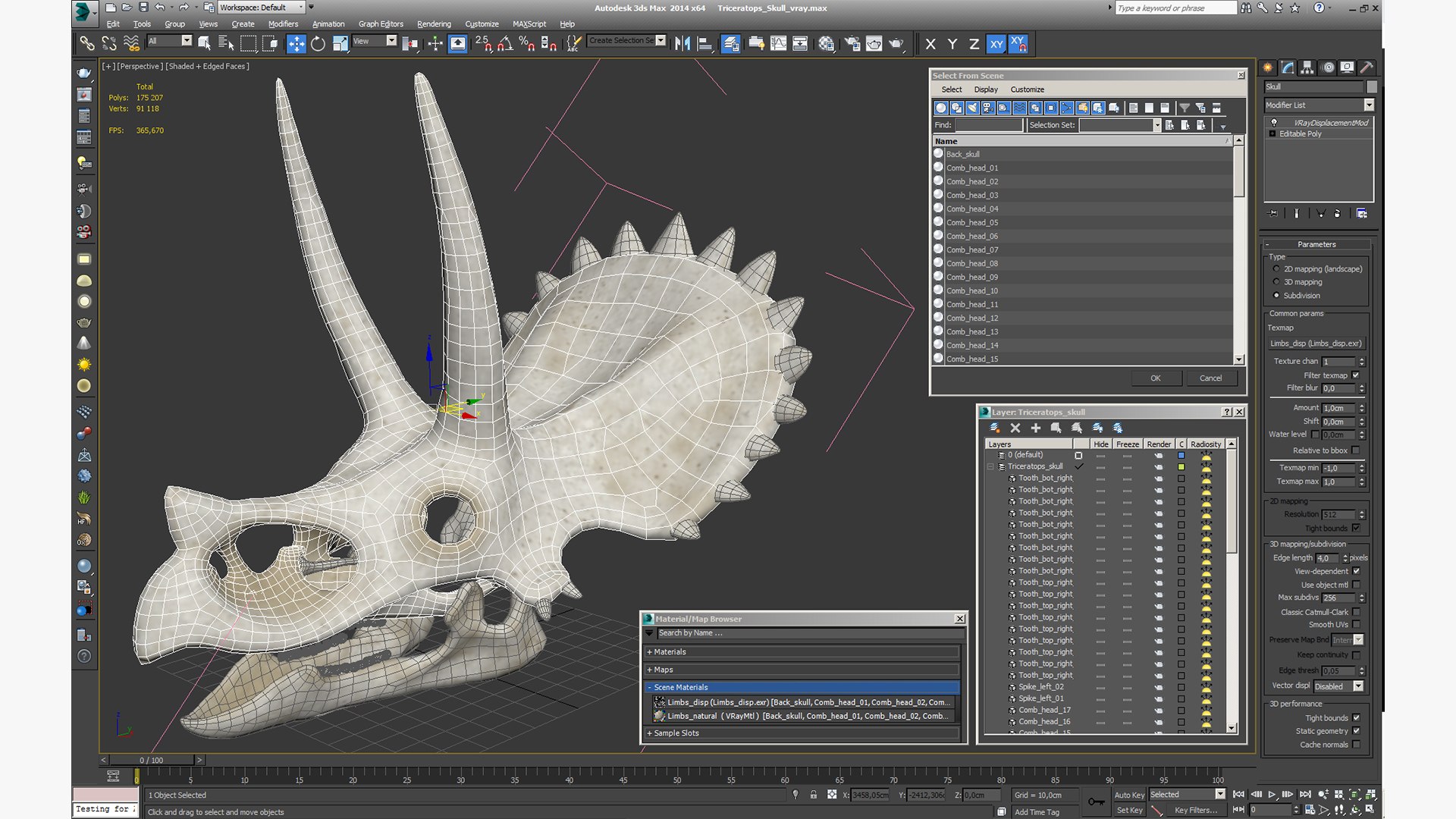 triceratops skull animal 3D model https://p.turbosquid.com/ts-thumb/9B/nMiblp/k7OdH89r/triceratopsskullc4dmodel018/jpg/1580734224/1920x1080/fit_q87/5c67d69f04092d5ac6a995bc49d01d535730baca/triceratopsskullc4dmodel018.jpg