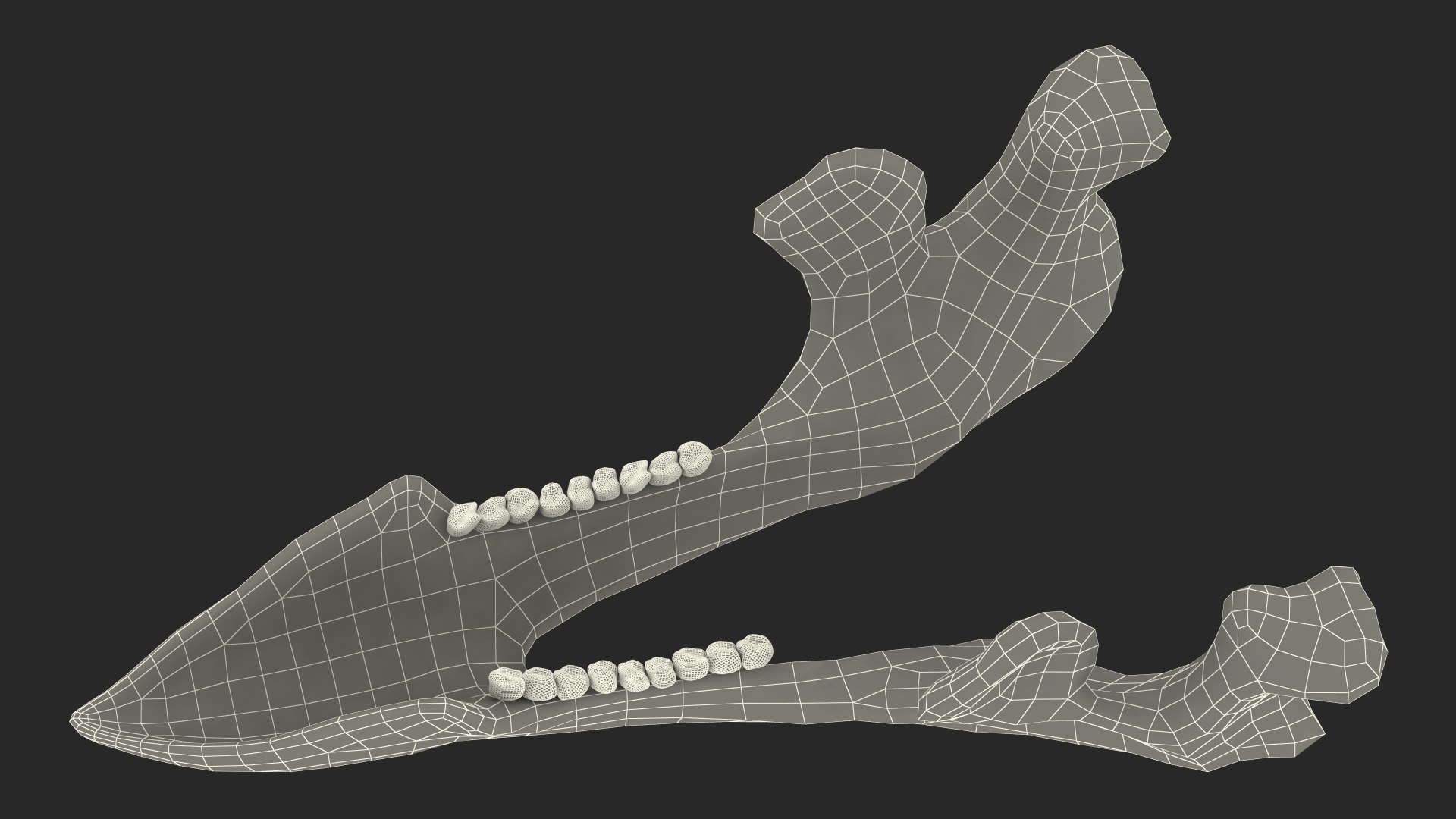 triceratops skull animal 3D model https://p.turbosquid.com/ts-thumb/9B/nMiblp/yIsToNoH/triceratopsskullc4dmodel022/jpg/1580734246/1920x1080/fit_q87/3d6783386a83e4419a35ba9fd3058f4a00fcfee7/triceratopsskullc4dmodel022.jpg