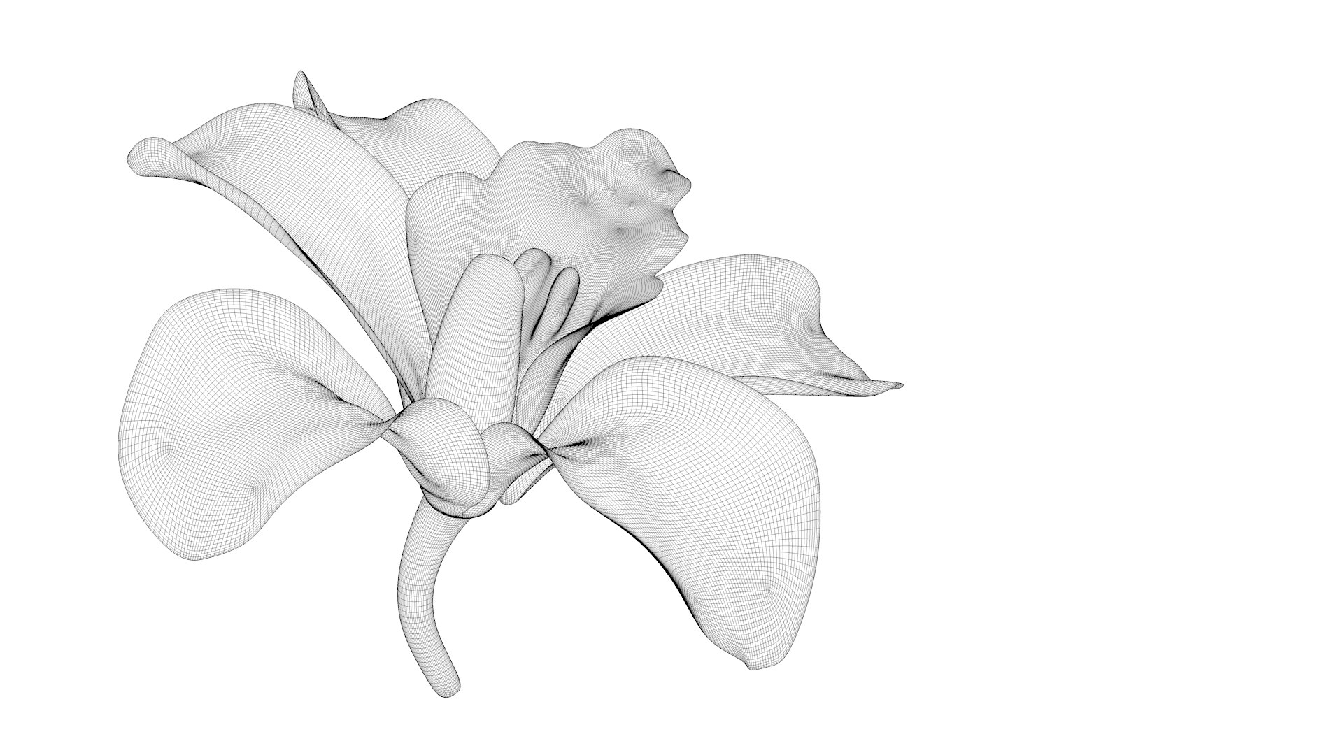 Beautiful Animated Orchid Flower 3D Model - TurboSquid 1822533