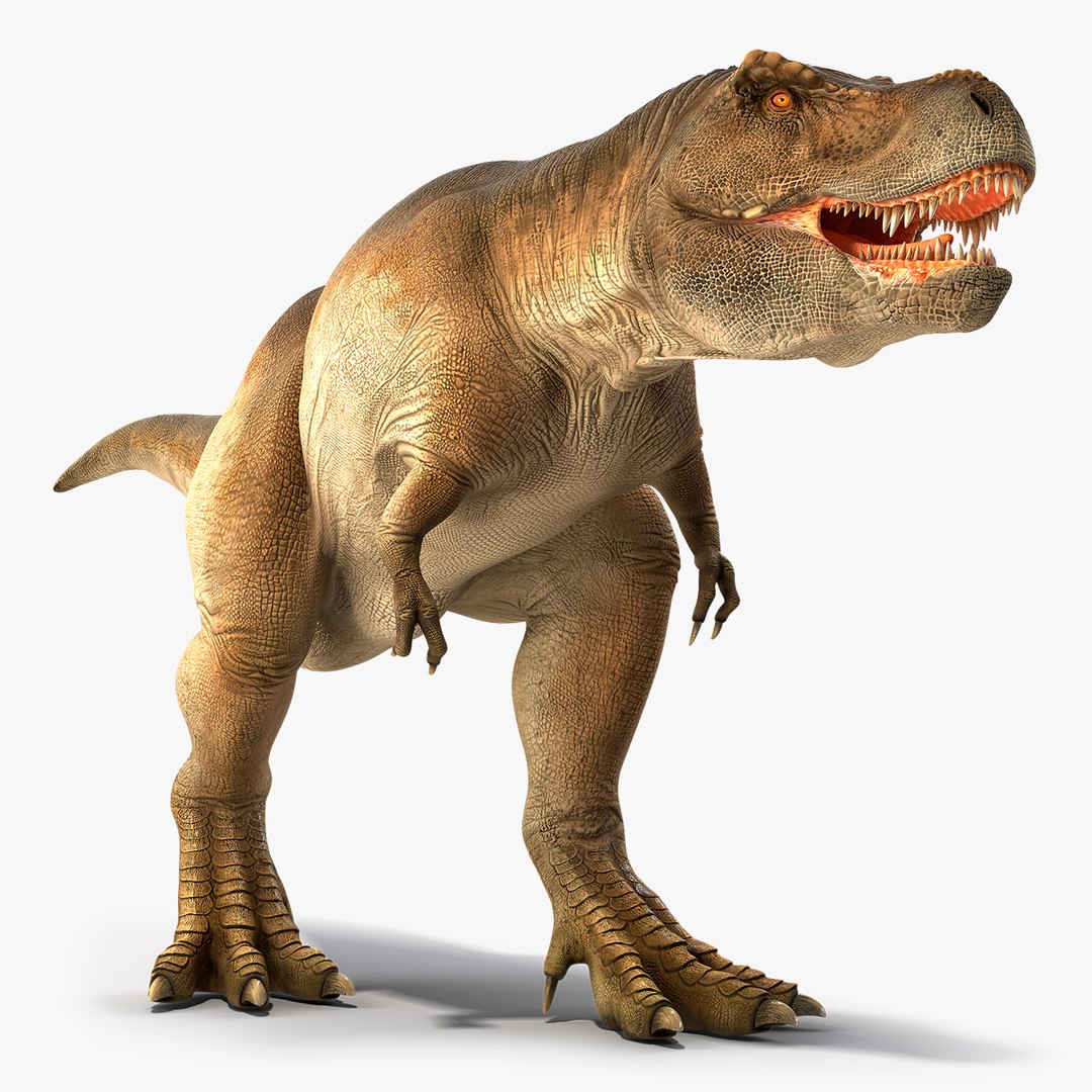 Animated Tyrannosaurus Rex Walking Rigged for Maya 3D model preview