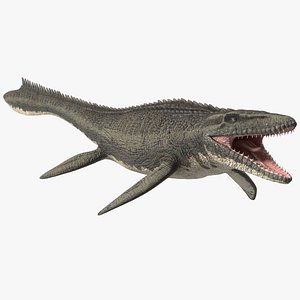 Mosasaurus Idle