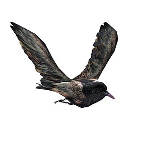 Crow Animated