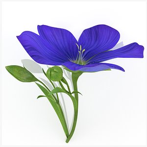 Purple flax lily flower decor