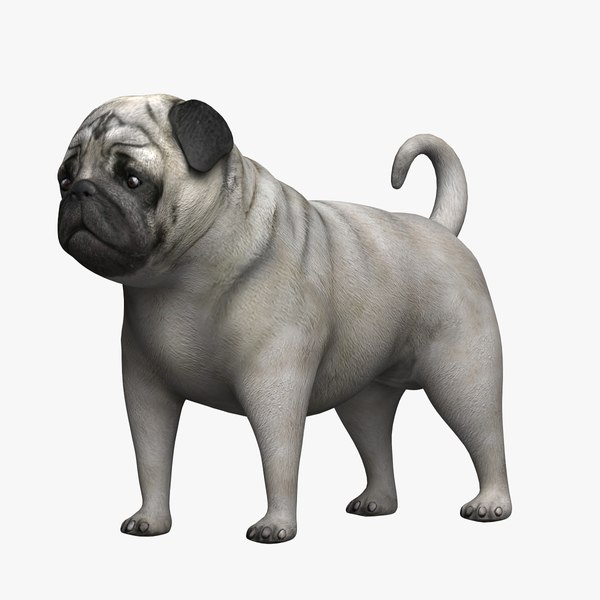 pug 3D model