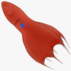 Vampire Squid