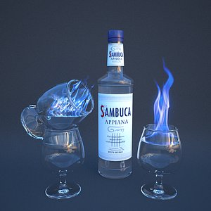 sambuca 3D model