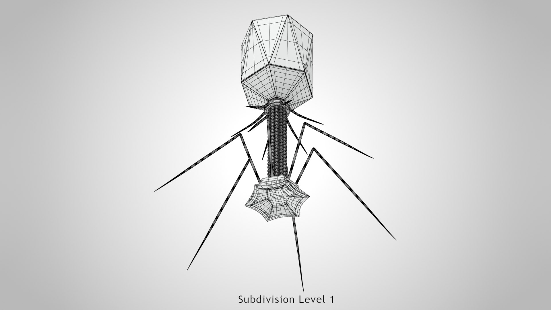 Bacteriophage 3D model https://p.turbosquid.com/ts-thumb/9C/WnLoGA/AA/ww00003/jpg/1666197147/1920x1080/fit_q87/fcaebe8d06621d4550d2021578070702c0b4186a/ww00003.jpg