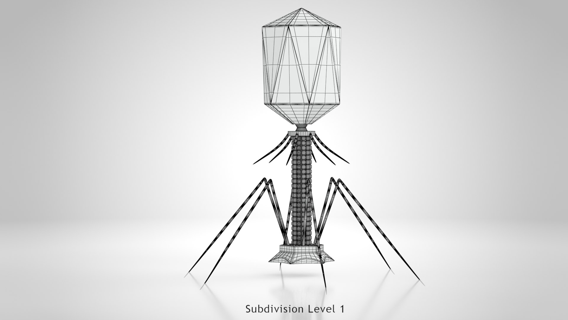 Bacteriophage 3D model https://p.turbosquid.com/ts-thumb/9C/WnLoGA/T2/ww00001/jpg/1666197127/1920x1080/fit_q87/85765aa70243a31a2e246ed4dafd5ff7bc603722/ww00001.jpg