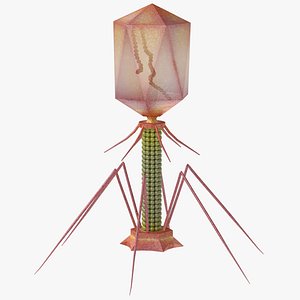 Bacteriophage