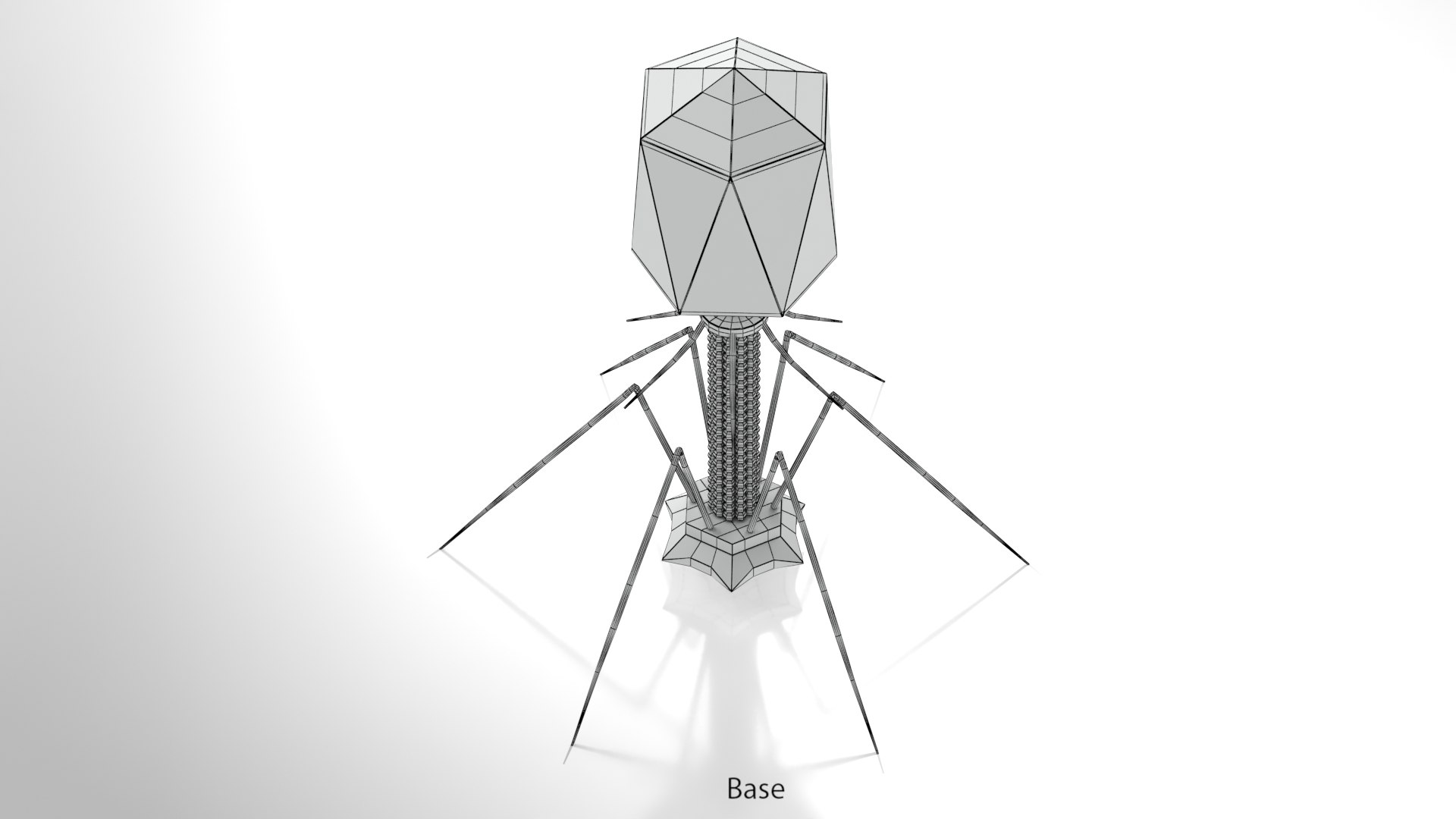 Bacteriophage 3D model https://p.turbosquid.com/ts-thumb/9C/WnLoGA/q4/ww00002copy/jpg/1666197128/1920x1080/fit_q87/88416980f02a3edc95f13c1c5a7da48cb5eb1b8d/ww00002copy.jpg