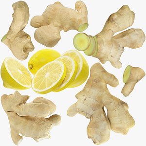 3D Ginger and Lemon Collection V6 model