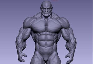 anatomy bodybuildere