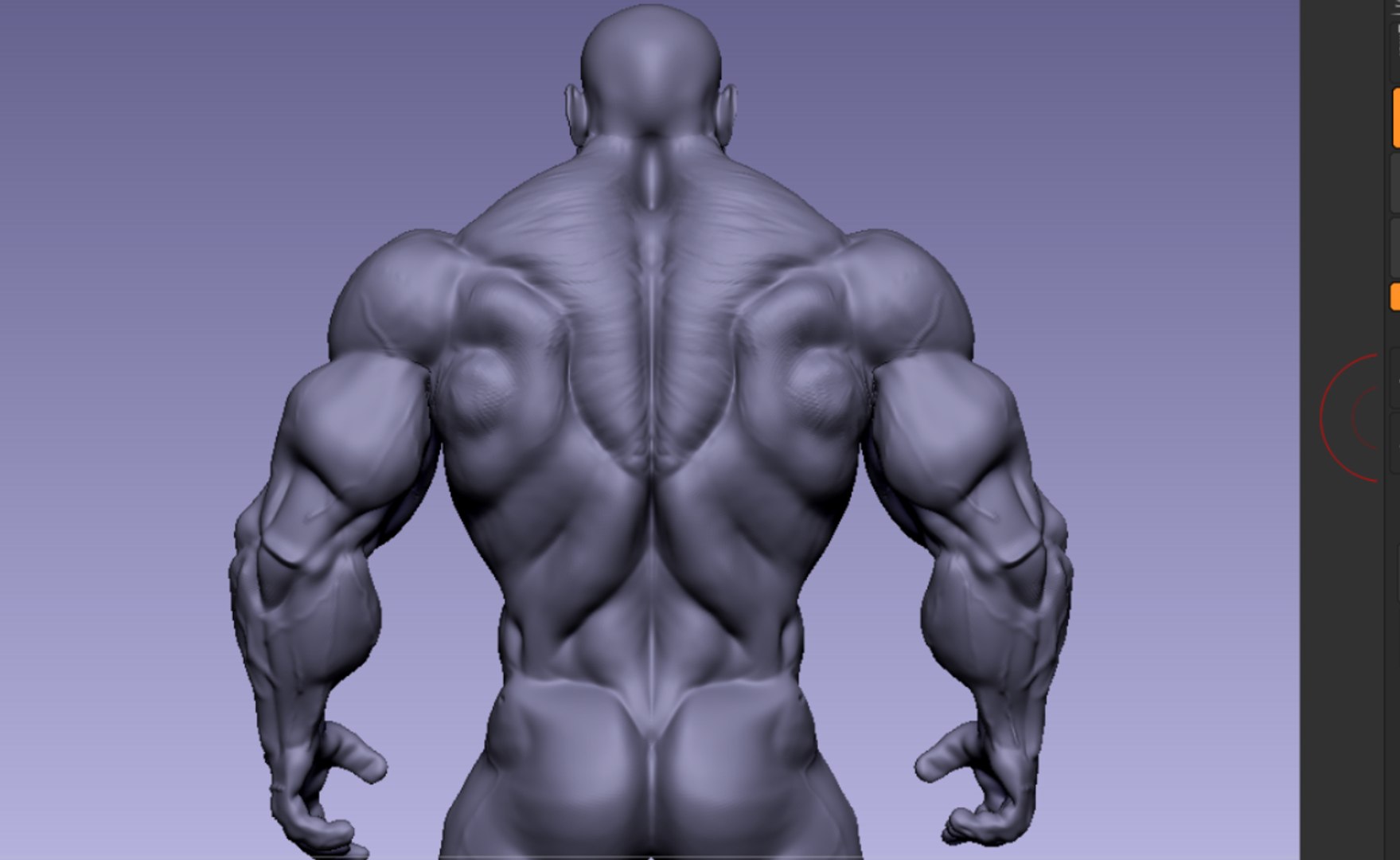 Bodybuilder Body 3D Model - TurboSquid 1552604