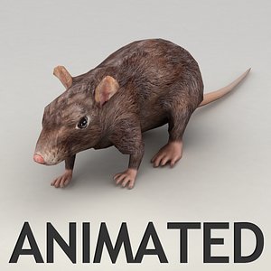 Rat animated model