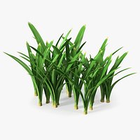 Realistic Grass Clump