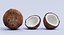 Orzechy - Ogromna kolekcja