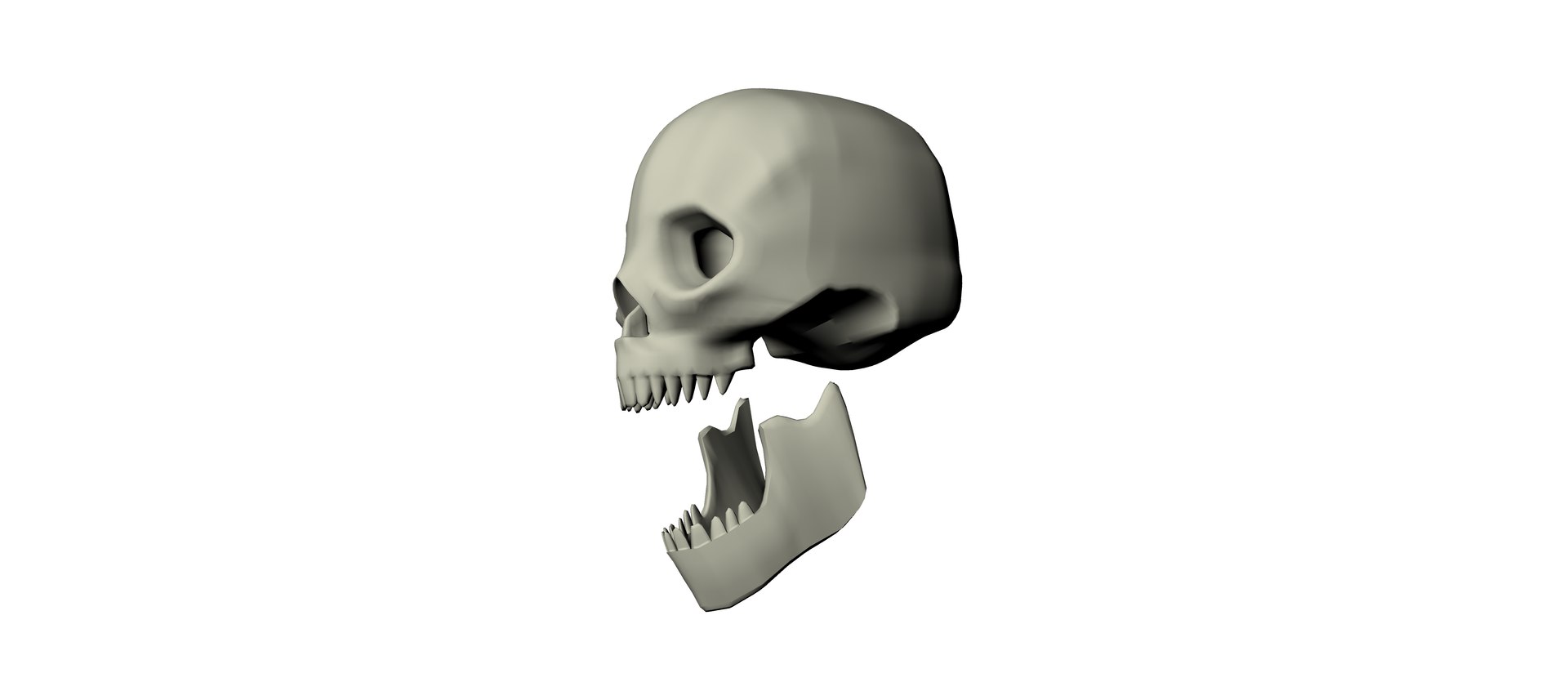 human skull obj https://p.turbosquid.com/ts-thumb/9D/6a5FGh/MPWQBTZT/hafschsgfc/png/1337882268/1920x1080/fit_q87/5e61a1035919fed57cbeb2c29dc930803c0b75ea/hafschsgfc.jpg