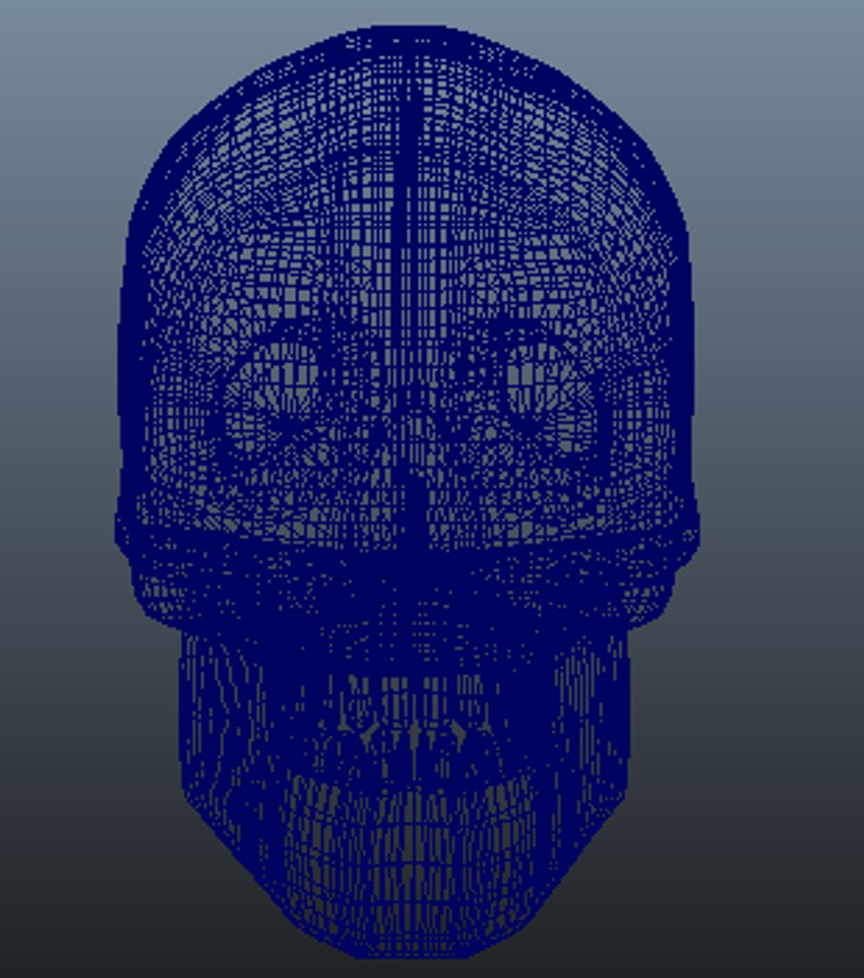 human skull obj https://p.turbosquid.com/ts-thumb/9D/6a5FGh/pUIkX1Ku/wirefront/png/1337882278/1920x1080/fit_q87/3b05d046cdad385cd62c6bc52f59e362a3b8ef2c/wirefront.jpg