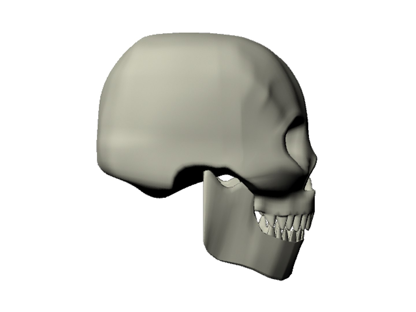 human skull obj https://p.turbosquid.com/ts-thumb/9D/6a5FGh/wwZyS2HD/render3/png/1337881670/1920x1080/fit_q87/7481697a2a244c9cf476603f9af37651ac824fe2/render3.jpg