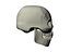 Human Skull