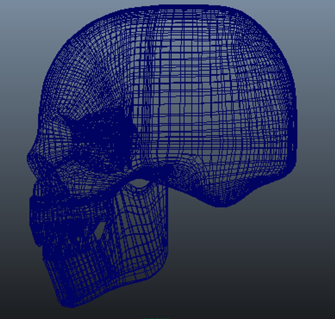 human skull obj https://p.turbosquid.com/ts-thumb/9D/6a5FGh/yLHYPcgX/wireside/png/1337882811/1920x1080/fit_q87/202bbcc0187931fd9cb83963d2925e130fe9d160/wireside.jpg