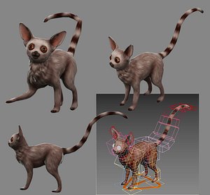 3D wildlife animal primate