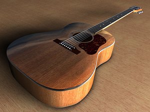 Washburn D10
