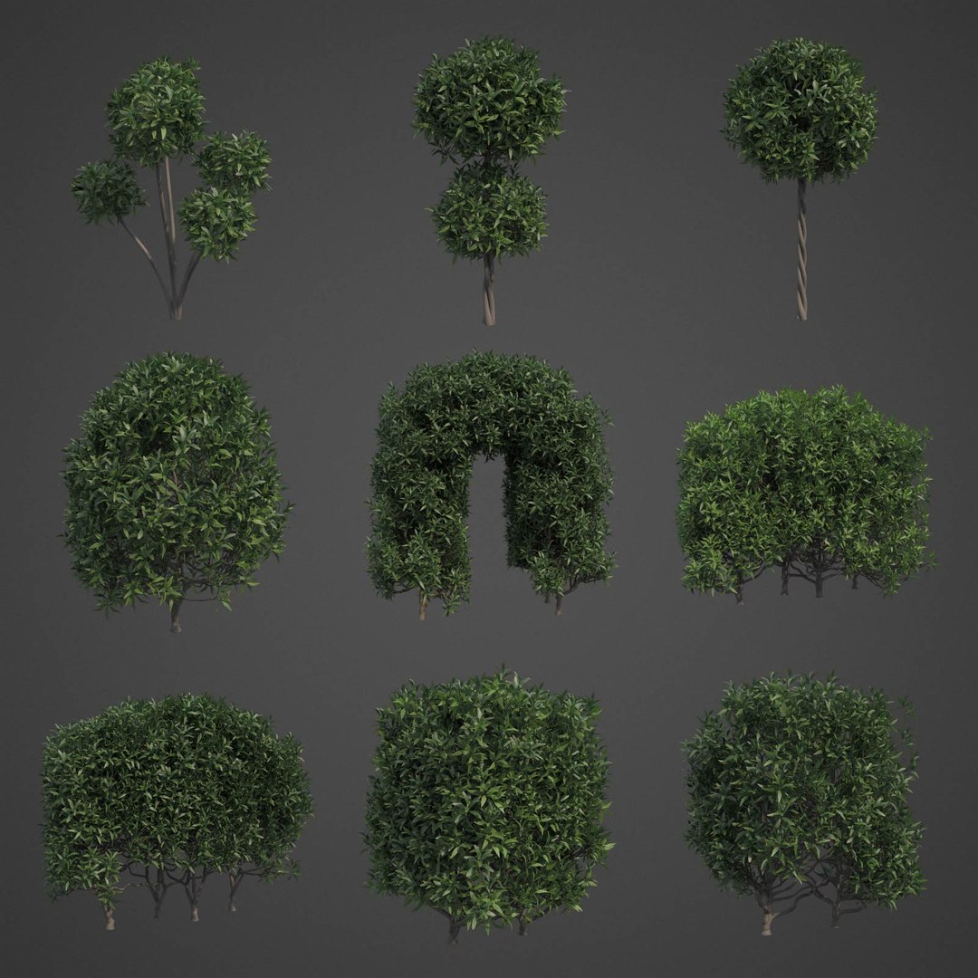 nature plants foliage 3D model https://p.turbosquid.com/ts-thumb/9D/HuKtdw/O2/ls14_01/jpg/1610994680/1920x1080/fit_q87/0189b010213873c5d459cbe4118cbb16fba89c1f/ls14_01.jpg