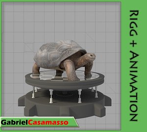 Galapagos-Tortoise