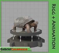 Galapagos-Tortoise