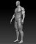 realistic bodybuilder body 3ds