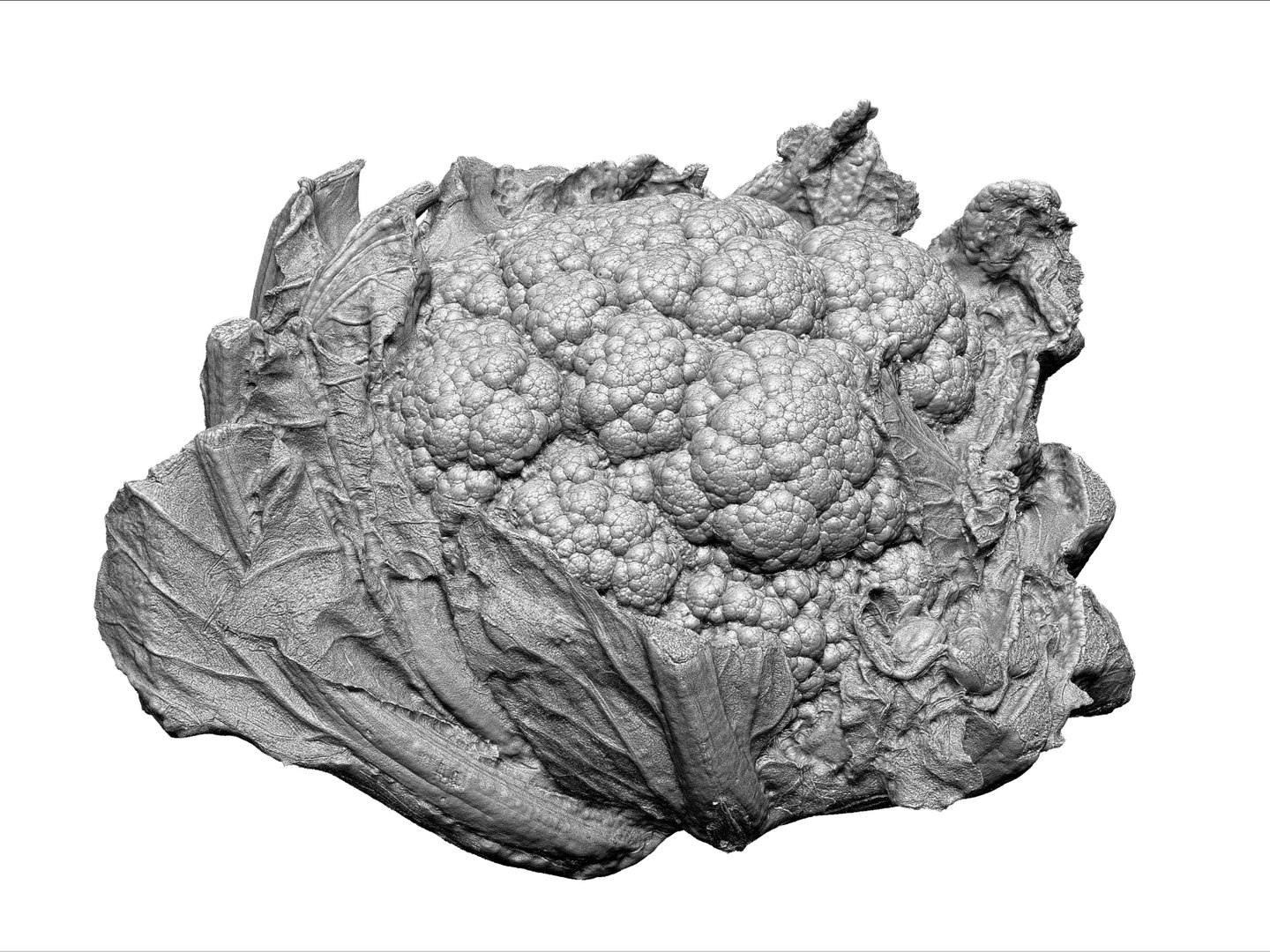 cauliflower ultra hd 8k 3d model https://p.turbosquid.com/ts-thumb/9D/SwxY4p/0s4PKjOe/776/jpg/1431298129/1920x1080/fit_q87/8acf8ab69a77f294fe2d6ae5936f2227ef49aa4d/776.jpg