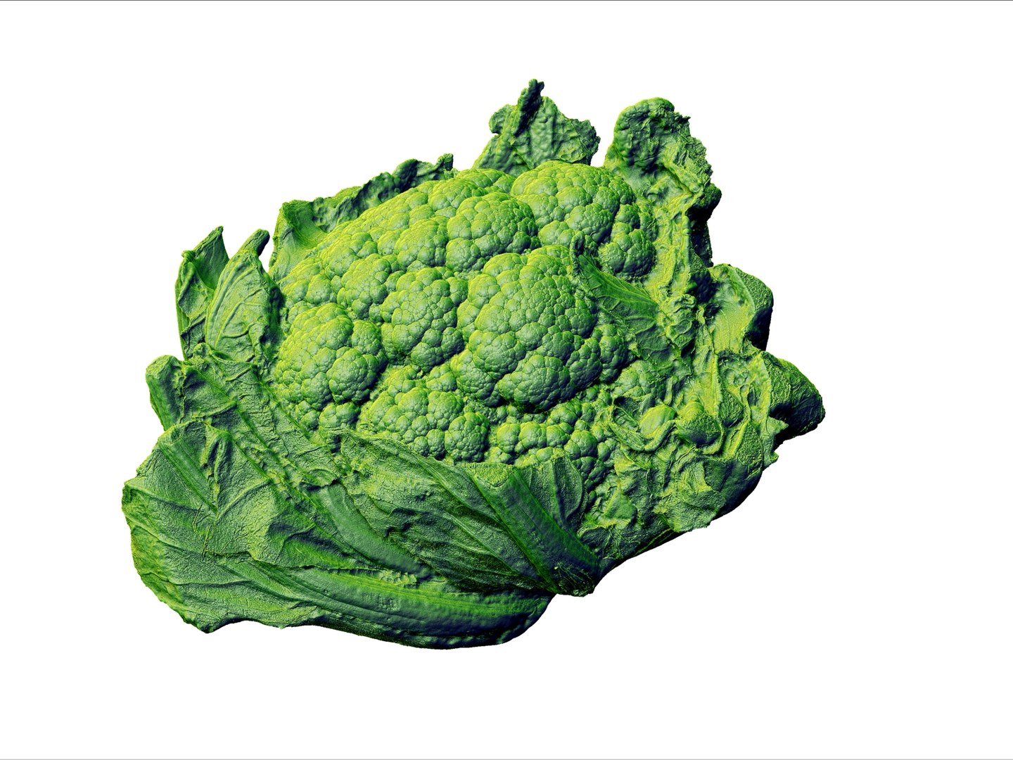 cauliflower ultra hd 8k 3d model https://p.turbosquid.com/ts-thumb/9D/SwxY4p/VmZJv0J6/6533/jpg/1431298164/1920x1080/fit_q87/d20b24b386684487ed8aeedbd702ab519f78a336/6533.jpg