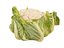 Cauliflower 8K  ULTRA HD