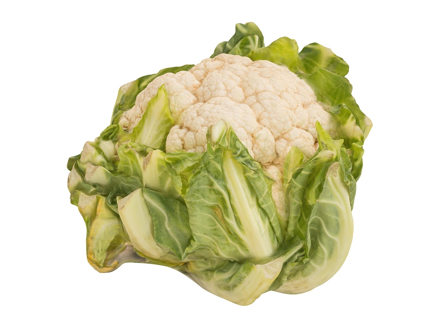 cauliflower ultra hd 8k 3d model https://p.turbosquid.com/ts-thumb/9D/SwxY4p/pAXhI0mA/5467/jpg/1431298154/1920x1080/fit_q87/49a23014a64a193af1ab8af5586e492dcb2db7b2/5467.jpg