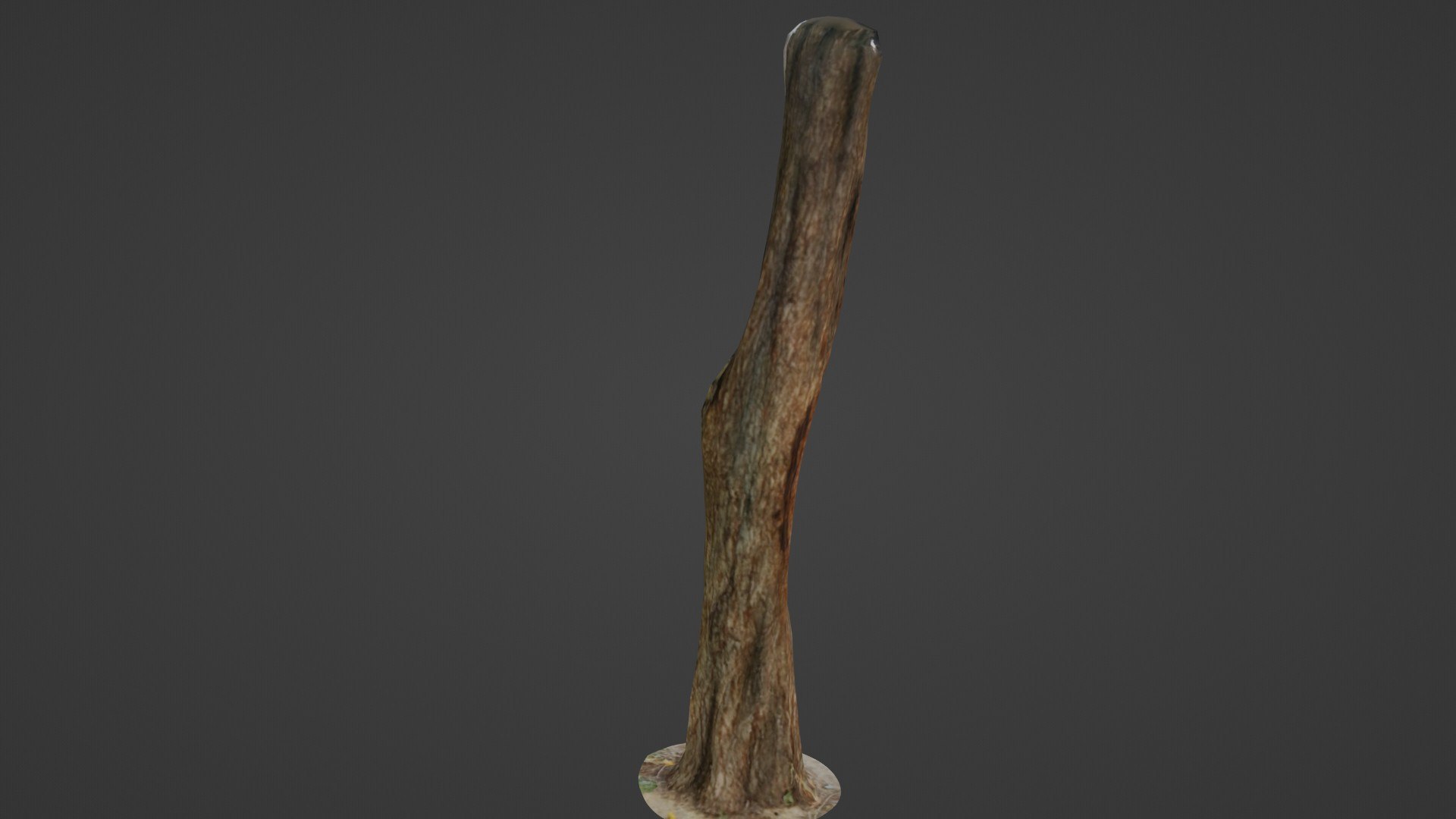 3D Trunk - TurboSquid 2332103