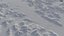Glaciers of Alaska PBR terrain