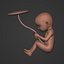 Human Fetus Week 30 - with FK Rig