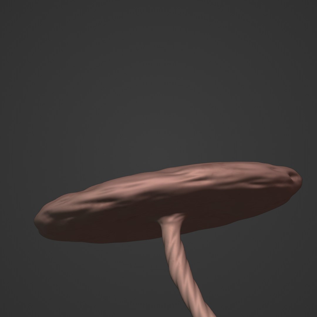 3D fetus anatomy https://p.turbosquid.com/ts-thumb/9D/niq150/3A/i26/jpg/1650380267/1920x1080/fit_q87/2464a9d11c9e7db81d57c790ef065a5d51b3a9db/i26.jpg