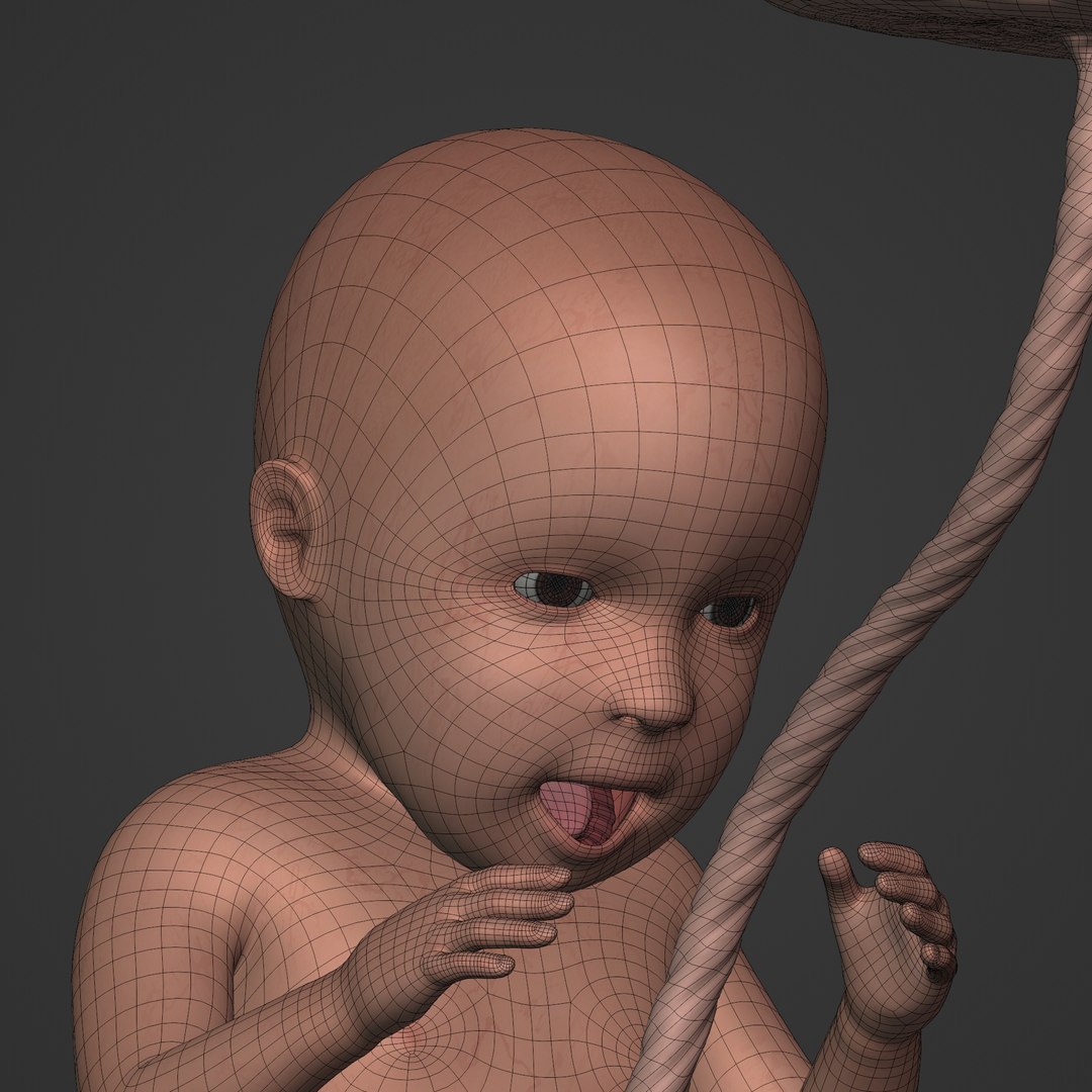 3D fetus anatomy https://p.turbosquid.com/ts-thumb/9D/niq150/3o/i133/jpg/1650379374/1920x1080/fit_q87/f596a9445fd8c8d2bcc250bd1f8588286d5e3f14/i133.jpg