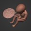 Human Fetus Week 30 - with FK Rig