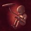 Human Fetus Week 30 - with FK Rig