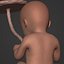 Human Fetus Week 30 - with FK Rig