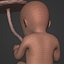 Human Fetus Week 30 - with FK Rig