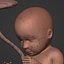 Human Fetus Week 30 - with FK Rig
