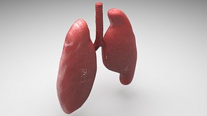 3D Respiratory Set