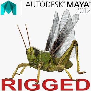 3D grasshopper rigged