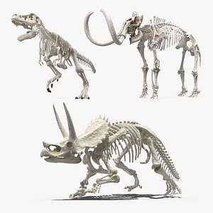 Rigged Dinosaur Skeletons Collection