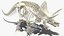 3D model Rigged Dinosaur Skeletons Collection